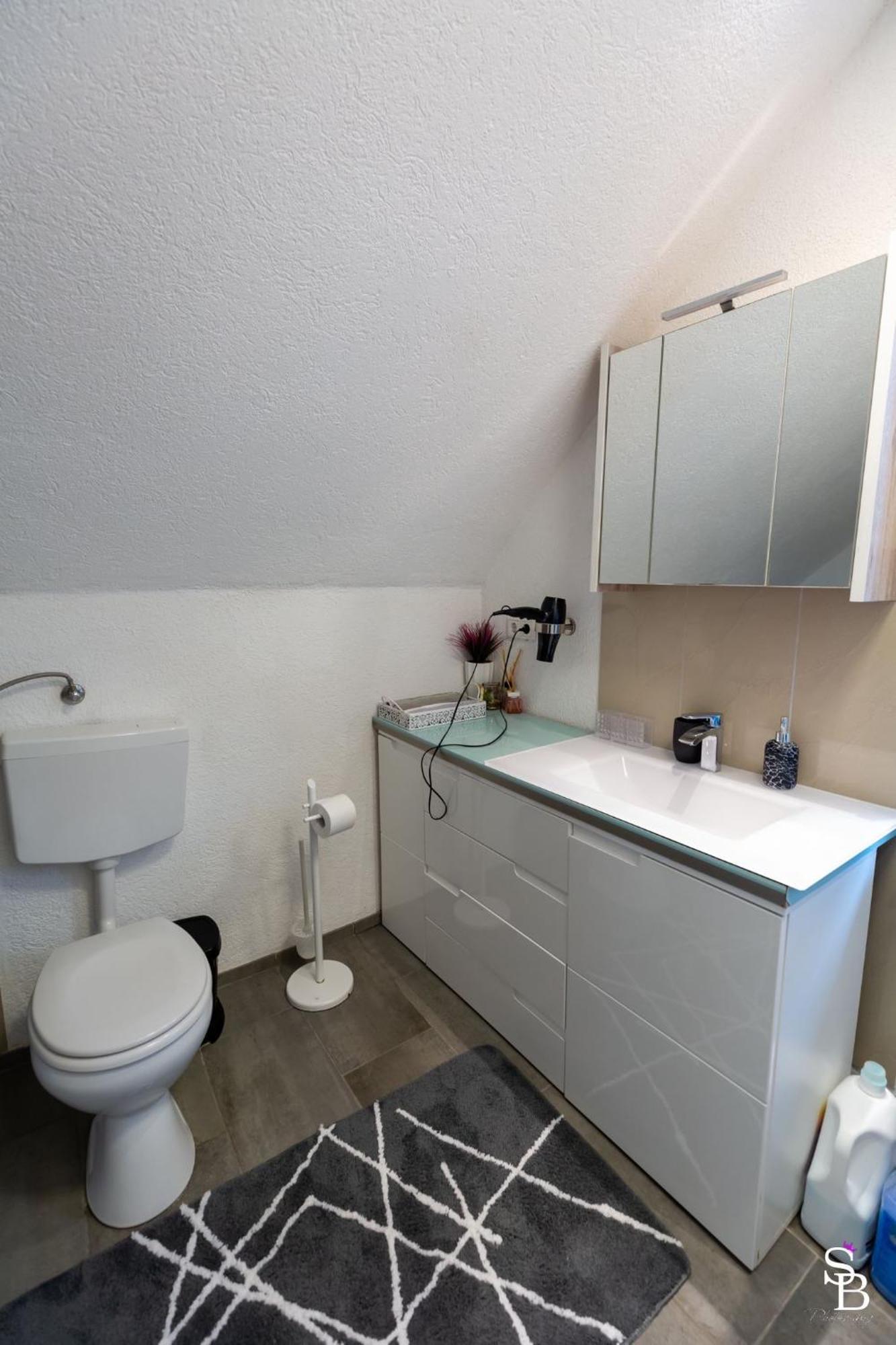 Hochrhein Ferienwohnung Albbruck Exterior photo